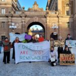Greta Thunberg Instagram - Climate strike week 233. #FridaysForFuture #ClimateStrike #ForestsAreNotRenewable Parliament House, Stockholm