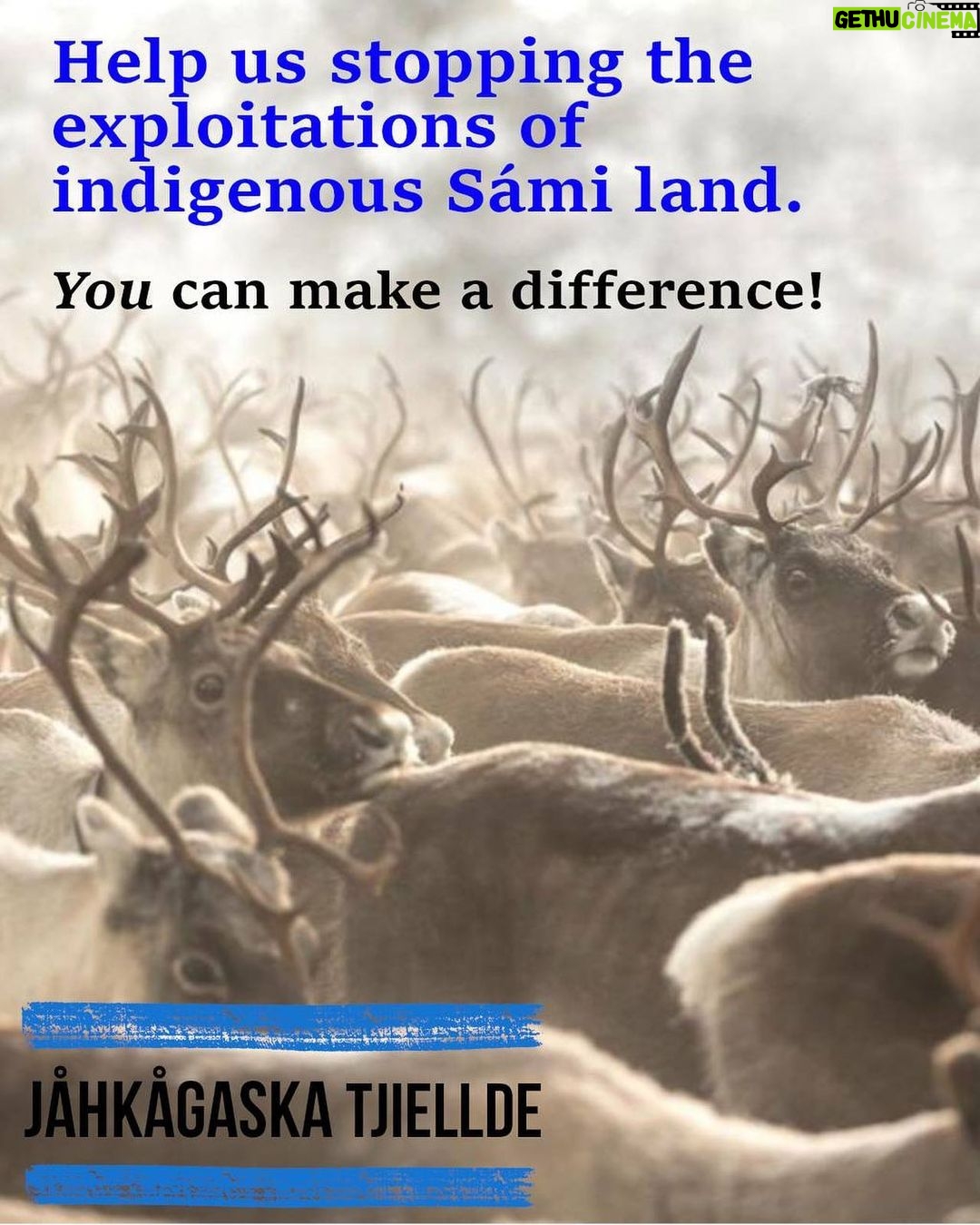 Greta Thunberg Instagram - For the last 12 years the Jåhkågaska Sami community has been defending its grazing lands by resisting this iron-ore mine. By doing so they have been safeguarding what keeps us all safe: biodiverse forests, intact carbon stock, clean water and air. The Greta Thunberg Foundation is donating 2 000 000 SEK ~ 184 000 EUR from received book royalties to support the Jåhkågaska Sami community's fight to prevent the exploitations on their lands. Everyone can help and donate - all donations, big or small, are welcome and needed. #DefendTheDefenders Find out more about this and how to donate at the link in my bio! 📸: @nomadicadam_