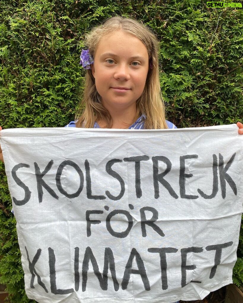 Greta Thunberg Instagram - School strike week 201. Happy midsummer! #FridaysForFuture #ClimateStrike