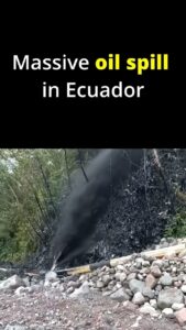Greta Thunberg Instagram - In the heart of the Ecuadorian Amazon, for the second time in two years, the OCP pipeline has ruptured, spilling crude oil into the Coca and Napo rivers. For the 27,000 Indigenous Kichwa living downstream, this is a compounded nightmare. This spill could have been prevented, and this pipeline amidst the fragile Amazonian ecosystems should never have existed as we are well aware of the threats these pipelines make up. The Ecuadorian government talks of an “ecological transition”, but has still vowed to double the country’s oil production. It is time for governments to take real actions against the climate crisis and environmental disasters. Green slogans will not save us, and we will not be fooled. A case brought after the first OCP spill in 2020 by the affected Kichwa communities is currently before Ecuador’s highest court, and it is essential that the Constitutional Court urgently resolve this case to ensure that environmental disasters like this do not occur again. Go to the link in my profile and tell the Ecuadorian Court that the Kichwa, and the Amazon, cannot wait any longer for justice! #KeepItInTheGround #PeopleNotProfit #SOSDerrameAmazonía @amazonfrontlines @confeniae @conaie @alianzaceibo @nemonte.nenquimo
