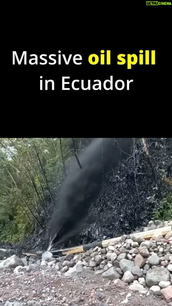 Greta Thunberg Instagram - In the heart of the Ecuadorian Amazon, for the second time in two years, the OCP pipeline has ruptured, spilling crude oil into the Coca and Napo rivers. For the 27,000 Indigenous Kichwa living downstream, this is a compounded nightmare. This spill could have been prevented, and this pipeline amidst the fragile Amazonian ecosystems should never have existed as we are well aware of the threats these pipelines make up. The Ecuadorian government talks of an “ecological transition”, but has still vowed to double the country’s oil production. It is time for governments to take real actions against the climate crisis and environmental disasters. Green slogans will not save us, and we will not be fooled. A case brought after the first OCP spill in 2020 by the affected Kichwa communities is currently before Ecuador’s highest court, and it is essential that the Constitutional Court urgently resolve this case to ensure that environmental disasters like this do not occur again. Go to the link in my profile and tell the Ecuadorian Court that the Kichwa, and the Amazon, cannot wait any longer for justice! #KeepItInTheGround #PeopleNotProfit #SOSDerrameAmazonía @amazonfrontlines @confeniae @conaie @alianzaceibo @nemonte.nenquimo