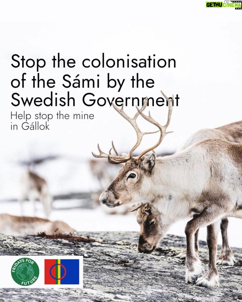 Greta Thunberg Instagram - Stop the colonisation of Sápmi by the Swedish government! The British company Beowulf wants to open up a iron ore mine on indigenous land. The Sámi are one of Europe’s recognised Indigenous people, living in a part of the world not only experiencing heating four times faster than the global average, but also an area that is still being exploited for its natural resources by the forest- and mining industry, just to name a few. The Swedish government now has to decide on whether this mine can open. The Sámi communities have clearly said no to this mine, as it would be an environmental disaster and jeopardise reindeer herding and therefore also their traditional ways of life. This is a clear example of how neocolonialism still exploits people and nature. We cannot remain silent. Please sign the petition (link in bio) to show solidarity and demand the Swedish government to make the right decision! #StandWithSápmi #NoMineInGállok (Graphics by @falk.o.s )