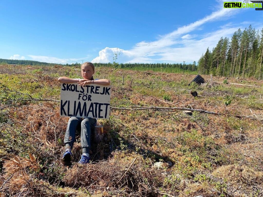 Greta Thunberg Instagram - School strike week 152. This week on a clear cut in Sápmi. Today the EU present the #EUForestStrategy . They will continue to allow clear cutting, they will call burning forest biomass “renewable” - worsening the climate- and ecological emergencies and ignoring indigenous rights and demands. #schoolstrike4climate #MindTheGap #climatestrike #fridaysforfuture #FaceTheClimateEmergency #StopFakeRenewables