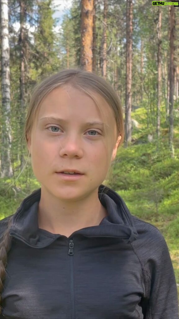 Greta Thunberg Instagram - We ask the European Commission @ursulavonderleyen and @frans__timmermans to remove forest biomass from the Renewable Energy Directive. You can plant trees, but you cannot plant forests. Forests are not renewable. Sign the petition in bio and use the hashtag #StopFakeRenewables to put pressure on them. #UniteBehindTheScience #ClimateJustice #UprootTheSystem #FightFor1Point5