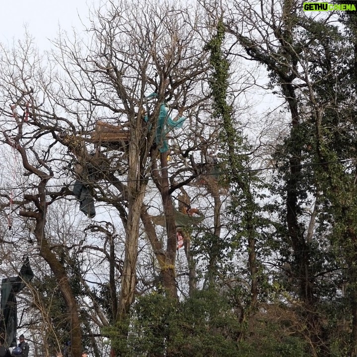 Greta Thunberg Instagram - South of France. While the French gouvernement intends to build a huge private highway (the A69) on fertile lands, wet zones and forests instead of improving the existing public roads, railways and bus, French activists from @lavoieestlibre and @gnsa_officiel organise to climb into the trees. They pacifically occupy the land in order to avoid the cutting - what’s more illegal at this time of year according to the protected species living there. Facing extreme violence from the police, as continuous tear gaz jet, siege to hinder their access to food and sleep privation, the locals made a complaint at UN. The special rapporteur on environmental defenders @forst.michel came yesterday on-site, but the situation is still tense. Activists should not face such persecutions while simply preventing illegal destruction and fighting for a liveable future for all. We need environmental democracy, not criminalisation of environmental defenders. #stopA69 Photo credits @gyppae & @alexis_pichot Saïx