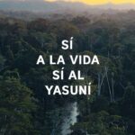 Greta Thunberg Instagram – A historic referendum is taking place in Ecuador on August 20th.

It presents a unique opportunity to protect Yasuní, the most biodiverse place on earth.

It’s a critically important region for the health of the Amazon basin and for the planet as a whole. This is what real climate action looks like! 

This referendum shows that when politicians and decision makers do not act, PEOPLE DO!

I support #SíAlYasuní

Español:
Este 20 de agosto hay  una consulta popular histórica en el Ecuador.
Es una oportunidad única para proteger el Yasuní, el lugar con mayor biodiversidad de la tierra.
¡El Yasuni ITT tiene vital importancia para la salud de la cuenca amazónica y para todo el planeta!
Esta consulta popular demuestra que cuando los políticos y los gobiernos no actúan ¡LA GENTE SÍ LO HACE!
Esto es acción climática.
Yo Apoyo  #SíAlYasuní

Produced by @Mullu.Tv & @jovenes_amazonicos_ec in collaboration with the Waorani Nationality of Ecuador & Okienani Waorani Association of Orellana

Follow @sialyasuni for more information