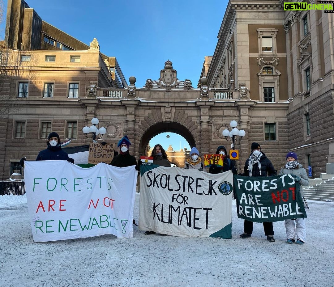 Greta Thunberg Instagram - Climate strike week 283. #FridaysForFuture #ForestsAreNotRenewable #ClimateStrike #ProtectTheForest #StopExpansionStartRestoration #RestoreNature Parliament House, Stockholm