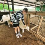 Griffin Wallace Henkel Instagram - When #yaks are curious #bayouzoo #crazyanimals #free #roaming #wildlife
