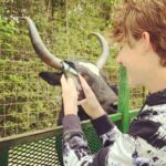 Griffin Wallace Henkel Instagram - When #yaks are curious #bayouzoo #crazyanimals #free #roaming #wildlife