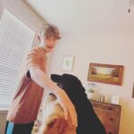 Griffin Wallace Henkel Instagram – Old #dogs

#dogsofinstagram #dogstagram #dogslife #dogsofinsta