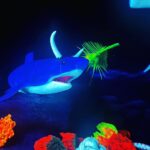 Griffin Wallace Henkel Instagram – #sharks in #texas 

#bobsinsideworld