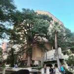 Griffin Wallace Henkel Instagram - #riverwalk #sanantonio #weekend #relax #summer