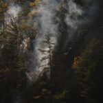 Guillaume St-Amand Instagram - Hier, le service d’incendie de Ste-Adèle a fait appel à l’équipe de @sopfeu afin d’éteindre un feu situé au Mont Baldy, tout près de chez moi. Il Heureusement, tout est maintenant sous contrôle! 📷 SONY A7RV + 100-400 F4.5-5.6 GM Sainte-Adèle, Quebec