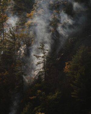 Guillaume St-Amand Instagram - Hier, le service d’incendie de Ste-Adèle a fait appel à l’équipe de @sopfeu afin d’éteindre un feu situé au Mont Baldy, tout près de chez moi. Il Heureusement, tout est maintenant sous contrôle! 
📷 SONY A7RV + 100-400 F4.5-5.6 GM