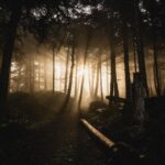 Guillaume St-Amand Instagram - 10 photos that make me miss Tofino. Tofino, B.C.