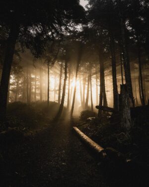 Guillaume St-Amand Instagram - 10 photos that make me miss Tofino.