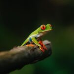 Guillaume St-Amand Instagram – Aujourd’hui est la journée mondiale de la photographie alors voici ma petite storytime. Y’a 7 ans, j’ai tout lâché pour partir à la quête de mon identité en partant en Asie avec mon sac à dos et une petite caméra Sony RX100 III. J’avais aucune attente sauf celle d’apprendre à faire de la photo, pour le fun. Jamais je n’aurais pensé que 7 ans plus tard, ce serait devenu une passion mais aussi mon métier. Ça m’a apporté aux 4 coins du monde, m’a permis de travailler avec des brands que j’adore et de rencontrer des gens inspirants. En fouillant dans mes photos des dernières années, je vois mon évolution, parce que faire de la photo c’est – selon moi – plutôt spirituel,  puisque ça reflète la vision qu’on a de la vie.