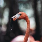 Guillaume St-Amand Instagram – Aujourd’hui est la journée mondiale de la photographie alors voici ma petite storytime. Y’a 7 ans, j’ai tout lâché pour partir à la quête de mon identité en partant en Asie avec mon sac à dos et une petite caméra Sony RX100 III. J’avais aucune attente sauf celle d’apprendre à faire de la photo, pour le fun. Jamais je n’aurais pensé que 7 ans plus tard, ce serait devenu une passion mais aussi mon métier. Ça m’a apporté aux 4 coins du monde, m’a permis de travailler avec des brands que j’adore et de rencontrer des gens inspirants. En fouillant dans mes photos des dernières années, je vois mon évolution, parce que faire de la photo c’est – selon moi – plutôt spirituel,  puisque ça reflète la vision qu’on a de la vie.