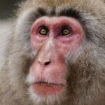 Guillaume St-Amand Instagram – Aujourd’hui est la journée mondiale de la photographie alors voici ma petite storytime. Y’a 7 ans, j’ai tout lâché pour partir à la quête de mon identité en partant en Asie avec mon sac à dos et une petite caméra Sony RX100 III. J’avais aucune attente sauf celle d’apprendre à faire de la photo, pour le fun. Jamais je n’aurais pensé que 7 ans plus tard, ce serait devenu une passion mais aussi mon métier. Ça m’a apporté aux 4 coins du monde, m’a permis de travailler avec des brands que j’adore et de rencontrer des gens inspirants. En fouillant dans mes photos des dernières années, je vois mon évolution, parce que faire de la photo c’est – selon moi – plutôt spirituel,  puisque ça reflète la vision qu’on a de la vie.