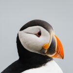 Guillaume St-Amand Instagram – Aujourd’hui est la journée mondiale de la photographie alors voici ma petite storytime. Y’a 7 ans, j’ai tout lâché pour partir à la quête de mon identité en partant en Asie avec mon sac à dos et une petite caméra Sony RX100 III. J’avais aucune attente sauf celle d’apprendre à faire de la photo, pour le fun. Jamais je n’aurais pensé que 7 ans plus tard, ce serait devenu une passion mais aussi mon métier. Ça m’a apporté aux 4 coins du monde, m’a permis de travailler avec des brands que j’adore et de rencontrer des gens inspirants. En fouillant dans mes photos des dernières années, je vois mon évolution, parce que faire de la photo c’est – selon moi – plutôt spirituel,  puisque ça reflète la vision qu’on a de la vie.
