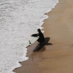 Guillaume St-Amand Instagram - Un plan de dernière minute pour aller surfer dans le Maine avec des personnes que tu ne connais pas? Mmm oui! C’est le genre de trip qui me fait vibrer. De lâcher prise et laisser la vie t’émerveiller. Il arrivera ce qui arrivera. Parce que souvent, on doute ou on se crée un scénario dans notre tête et on fini par réaliser que rien se passe comme on l’avait imaginé. Souvent pour le mieux. Old Orchard Beach Pier