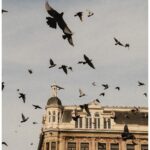 Guillaume St-Amand Instagram - Amsterdam on iPhone Amsterdam, Netherlands