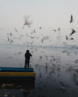 Guillaume St-Amand Instagram - The perfect sunrise spot if you stay at least one day in Delhi. Hundreds of Siberian Seagulls flying around over the small boats that you can rent for a few rupees.