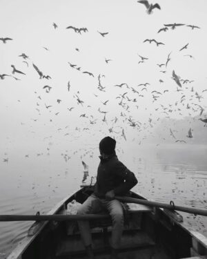 Guillaume St-Amand Instagram - The perfect sunrise spot if you stay at least one day in Delhi. Hundreds of Siberian Seagulls flying around over the small boats that you can rent for a few rupees.