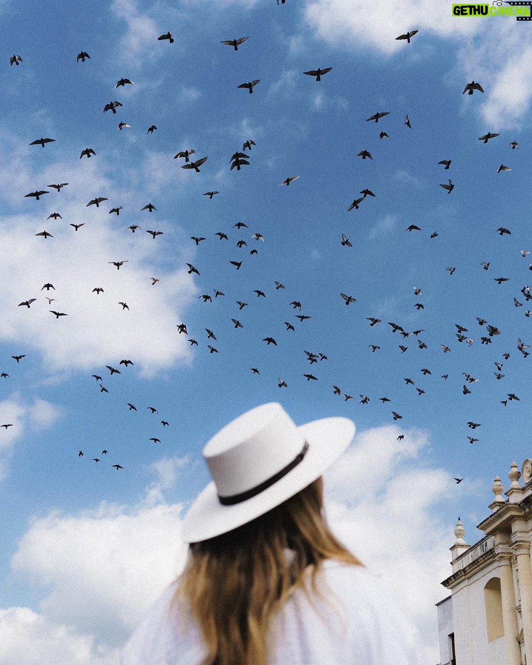 Guillaume St-Amand Instagram - Un 48h à Antigua pendant le festival de las Flores. Une ville chaleureuse, colorée et avec une énergie effervescente. Définitivement une ville incontournable à considérer lors de votre prochain voyage au Guatemala. 🇬🇹 ✨#guatemala #sonyalpha #sony #gosselinphoto