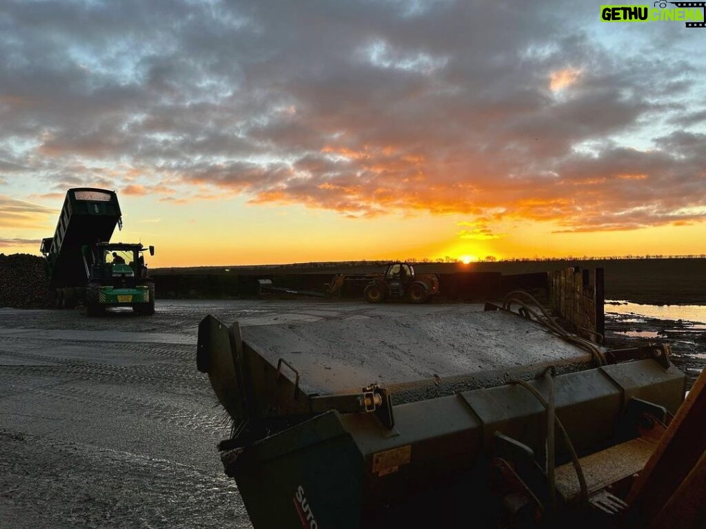 Guy Martin Instagram - Guy is a regular worker for Godfrey’s throughout the year and he is ending 2022 on the tractor with them. They are one of over 3000 sugar beet growers in the UK supplying British Sugar this year, they are the 10th* largest grower of sugar beet for British Sugar in the UK. There are 4 factories throughout the country, Bury St Edmunds, Cantley, Newark, Wissington, these factories process over 8 million tons of sugar beet which produces 1.5 million tons of sugar a year. This year frosts have damaged a lot of beet in the UK that is still in the ground and still to be harvested. They are open from mid-October until early March. Godfrey’s also grows sugar beet for a AD plant producing electricity, next year they are more than doubling the area of sugar beet grown, which will make them one of the largest growers in the UK. Thanks to Pete Harriman for the facts and for the job 👍 and thanks to Lewis for the picture. #johndeere #baileytrailers #farming #jcb *roughly