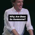 Guy Montgomery Instagram - I delivered a lecture on the television pilot for Comedians Giving Lectures (NZ) and you can watch the whole thing on the most popular television network in the world (my YouTube channel)