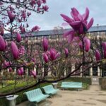Gwei Lun-mei Instagram - What a Journey !!! #Paris