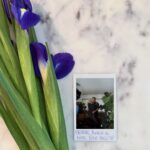 Gwen Stefani Instagram - 🪻🤍