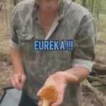 Gwen Stefani Instagram - come morel mushroom hunting with us 🍄🍄