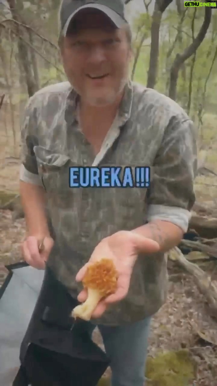 Gwen Stefani Instagram - come morel mushroom hunting with us 🍄🍄