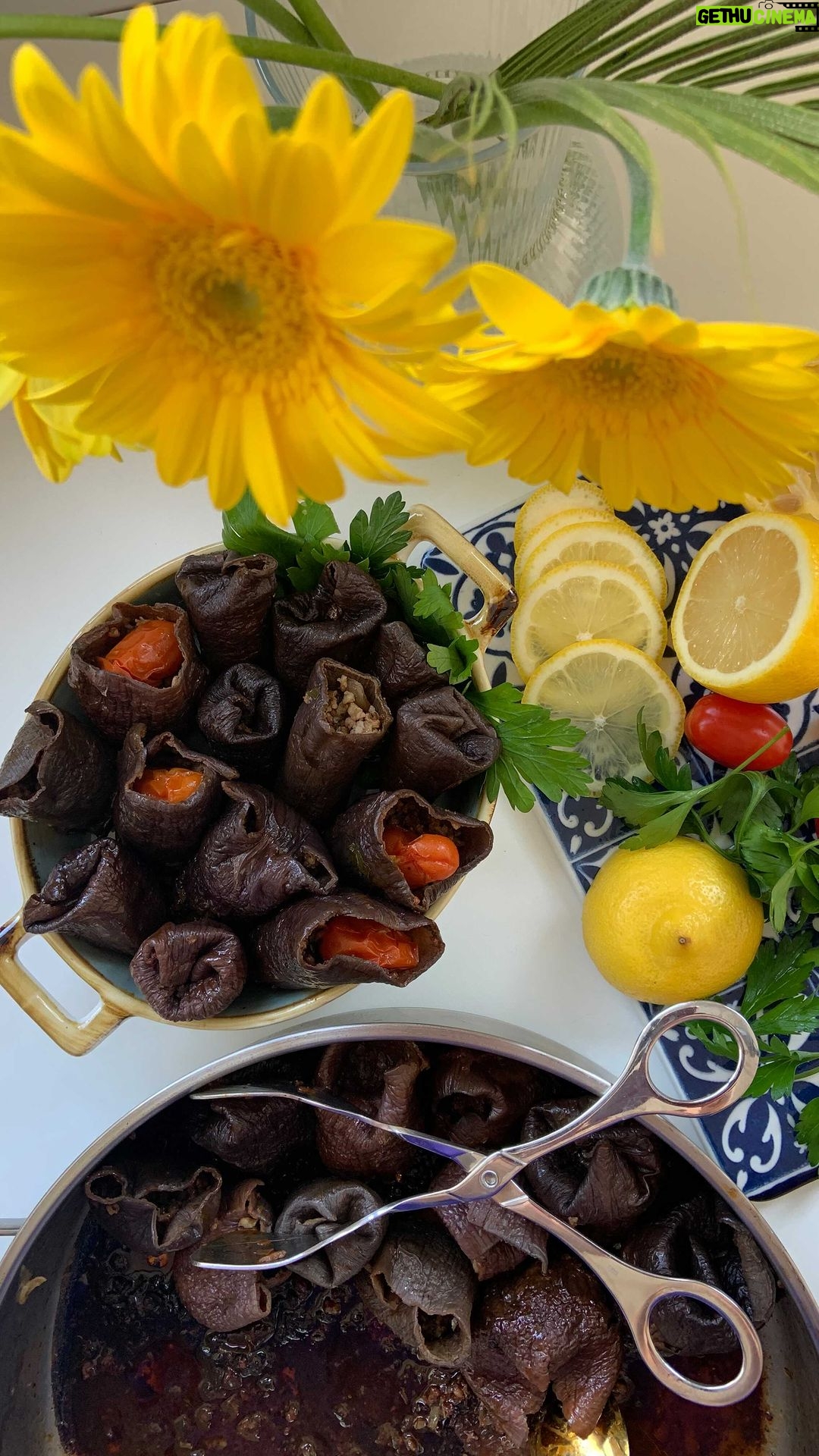 Hümeyra Aydoğdu - 636 Likes - Oo la la la 😍
Bulgurlu Nar ekşili Kurutulmuş Patlıcan Dolması 😍
Türk Mutfağına Aşığım Dostlar 😍 ve her fırsatta farklı tarifleri pişiriyorum.
Bu şahane dolmayı “ Pirinçle değil Bulgurla “ yaptım. Bu haline sarımsaklı yoğurtla servis çook yakışıyor 🤩 benden demesi 😀
Bol zeytinyağ ile pişiriyorum ve soğuk haliyle çoook seviyorum 😍 yapımı belki biraz zaman alıyor ama bu sonuca değiyor 🎉
3-4 adet kuru soğanı yemeklik doğradım. 2 diş sarımsakla birlikte 1 fincan zeytinyağ da iyice yumuşayana dek kavurdum.Ocağın altını kapatıp - Üzerine yıkayıp süzdüğüm 1 su b. dolusu bulguru-annemin ev yapımı domates sosunu :) isteğe göre biber salçası - 1 y.k nar ekşisi- yarım limon suyunu 🍋 bolca hem taze hem kuru nane ve maydanoz isteğe göre reyhan da olur 😍🌿 pul biber - karabiber - çok az tuz - bolca sumak ekleyip iyice karıştırdım. Kuru Patlıcanları çatala batacak yumuşaklıkta 5 dk sıcak
su da beklettim.
İçlerini yarısından biraz fazla doldurdum ki bulgurlar şişip içlerinden taşmasın diye...
Tencereye biraz zeytinyağ gezdirdim. Patlıcanları tencereye dizdim. Bir kısmının üzerine domates koydum - bir kısmını da mantı gibi kapattım.
Üzerine biraz limon suyu ve tencerenin yarısına dolacak kadar su ilave ettim.
Orta ateşte pişirdim. Ve karşınızda Ekşili Kurutulmuş Patlıcan dolması 😍🍆🍋 isterseniz sarımsaklı yoğurtla sıcak servis yapın... yada soğuk soğuk 😋
Afiyet olsun 😘💐
#aubergine🍆 #recipe #healhty #food #turkish #turkishtraditionalfood #lezzet #turkishcuisine #dish #dolma #deutschland #düsseldorf