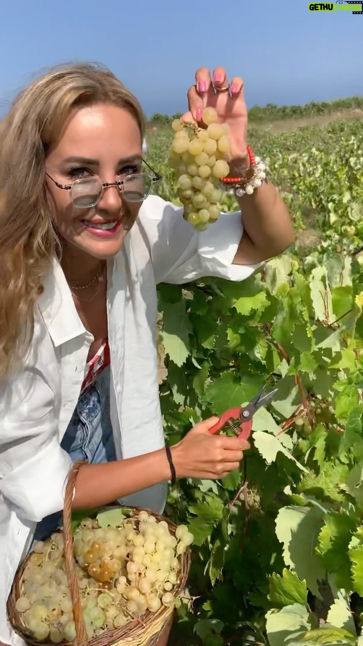 Hümeyra Aydoğdu - 715 Likes - Bozcaada’da en sevdiğim zaman ♥️
Bağbozumu zamanı 🍇
#bağbozumu #winery #wine #bozcaada #summer