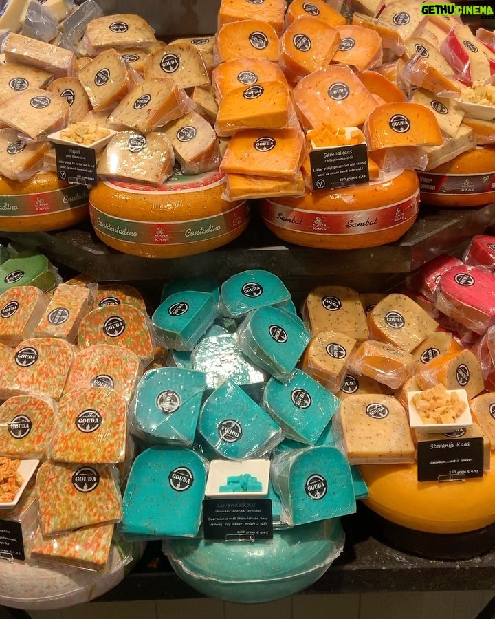 Hümeyra Aydoğdu Instagram - Kaydırmacalı 👉🏽 Gouda şehri ve Peynir peynir peynir 😀 🧀 😍 Gouda peyniri Cenneti Gouda’dayım 🧀 Hollanda’nın şehirlerinden biri olan Gouda, peyniriyle öyle ünlü ki Dünyaca ünlü bu peynirin adı da #gouda #cheese Peynir güzel ✨ Şehir güzel ✨ Görülmeye tadılmaya çok değer ✨ Daha ne olsun ☺️ #hollanda #netherlands #käse Gouda, South Holland