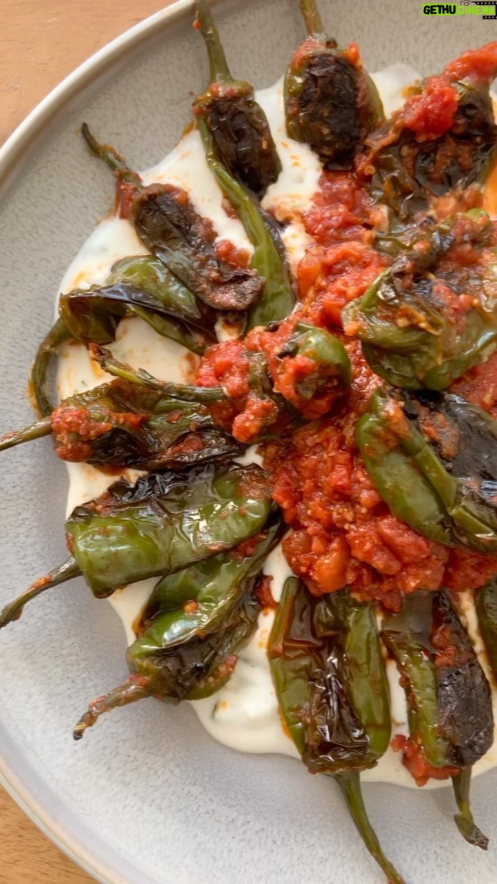 Hümeyra Aydoğdu Instagram - Kim diyebilir Biber Izgara sevmiyorum 🙃 Sarımsaklı domates sos ve Salatalık 🥒 rendelediğim dereotlu yoğurt yatağında 😋 hafif közleyip sosla birleştirdiğim biberler 🥳 Kolay ve Süper lezzetli 👌🏽 #meze #tapas #foodblogger #deutschland #küche #rezepte