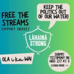 Hāwane Rios Instagram – amplifying from @officiallahainastrong 

🚨 URGENT 🚨 

For too long already the powerful have played politics with Hawaiʻi’s freshwater resources. The interests of private water purveyors, real estate speculators, and the US military dictate water policy behind the scenes. That is why many of our streams run dry, kalo farmers struggle, wildfires are rampant, and jet fuel lingers in the water. 

But today we have an opportunity to get the politics out of our water policy by supporting SB3327 to separate the Water Commission from the Department of Land and Natural Resources. 

In the aftermath of the Lahaina fires in August, those that benefit from plantation disaster capitalism made bold moves to solidify control of freshwater resources in Maui Komohana. The Governor suspended the Water Code, creating a free-for-all over freshwater in West Maui. Private water purveyors hoarded more and more water in unlined reservoirs, taking far more water than they are legally allowed or that they could reasonably use, claiming it was needed for fire suppression. Most shockingly, the Director of the Department of Land and Natural Resources folded to pressure from these private companies and removed the deputy director of the Water Commission on false allegations that he did not allow stream water to be used to fight the Lahaina wildfires. 

Now, we have an opportunity to liberate Hawaiʻi’s water policies from the corrupting influences of money and politics. SB3327 aims to improve implementation of the state Water Code by shielding the Water Commission’s staff and volunteer board from the influences of interests unrelated to upholding the public trust doctrine, and the proper management of surface and ground water resources for the benefit of all people. This bill converts the Water Commission’s deputy director into an executive director, reinforces the Public Trust Doctrine, and empowers the Commission with independent legal counsel and control over its budget.

The time is now! Submit written testimony at capitol.hawaii.gov by Tuesday afternoon at 3:00pm. 🚨