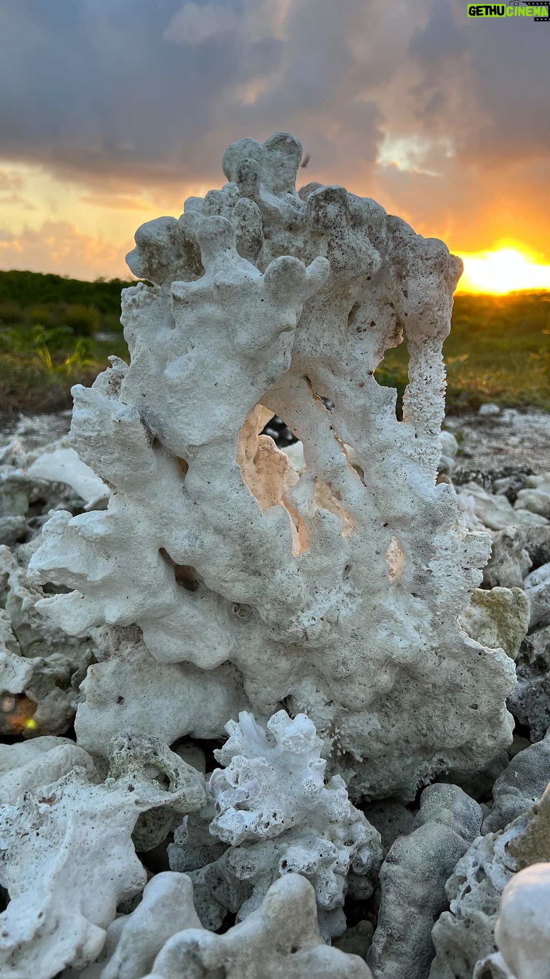 Hāwane Rios Instagram - H O ‘ O K U ‘ U cleanse & release Salt to the electricity and technology that makes this space, space Smoke to the energetic exchanges made here be it in the name of peace or separation I cleanse this medium of expression and action like I cleanse my body and my home As I prepare in ceremony for ‘Akahipapahonuamea, I place my right hand on my heart and my left hand on my houpo, and breathe into my palms This season of my life has been one of great revelations and great releases. It has been one of deep pain, grief, and heartache - for me and for everyone from my micro to the macro. I have felt the extremes of emotions intensely and consistently and now I go into the quiet place of ritual. This is where I tend to the places within that hurt and need to be held. This is where I tend to the embers in the core of my being with ceremony and oil. This is where I tend to my physical body and nourish my wholeness with teas, oils, and protections. I will be in pule and aha everyday to make ready for opening of the entrance way to the Hale Haumea, the ceremonial space I have lead and tended to for the past three years. This is the first time I am offering a Papa like this to the lehulehu online. I am centering on the intentions of this learning and healing space with reverence and care. To all who are called to oli with me in ‘Akahipapahonuamea, I am so deeply honored to resonate with you. Nu‘u ‘Akahi I ka piko o ke aloha @halehaumea #halehaumea #akahipapahonuamea
