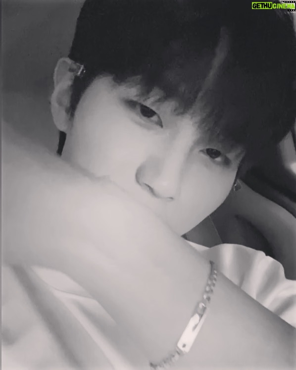 Ha Jong-woo Instagram - 🐶🐾💕 #뽀뚜빠뚜팔찌 #유기견후원기부팔찌