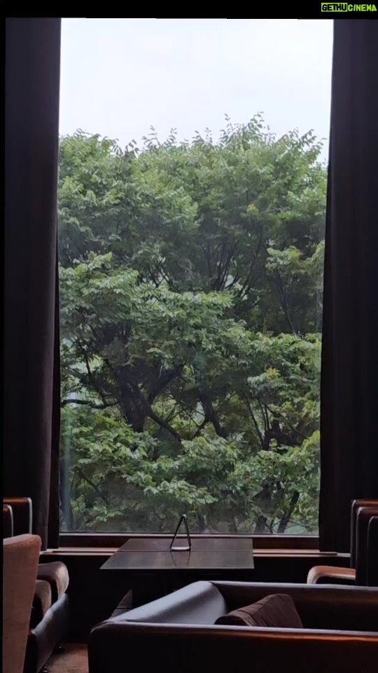 Ha Yeon-joo Instagram - κ°μλΉ π . #wellnesslifestyle_yeonjoo