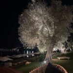 Haifa Hassony Instagram -