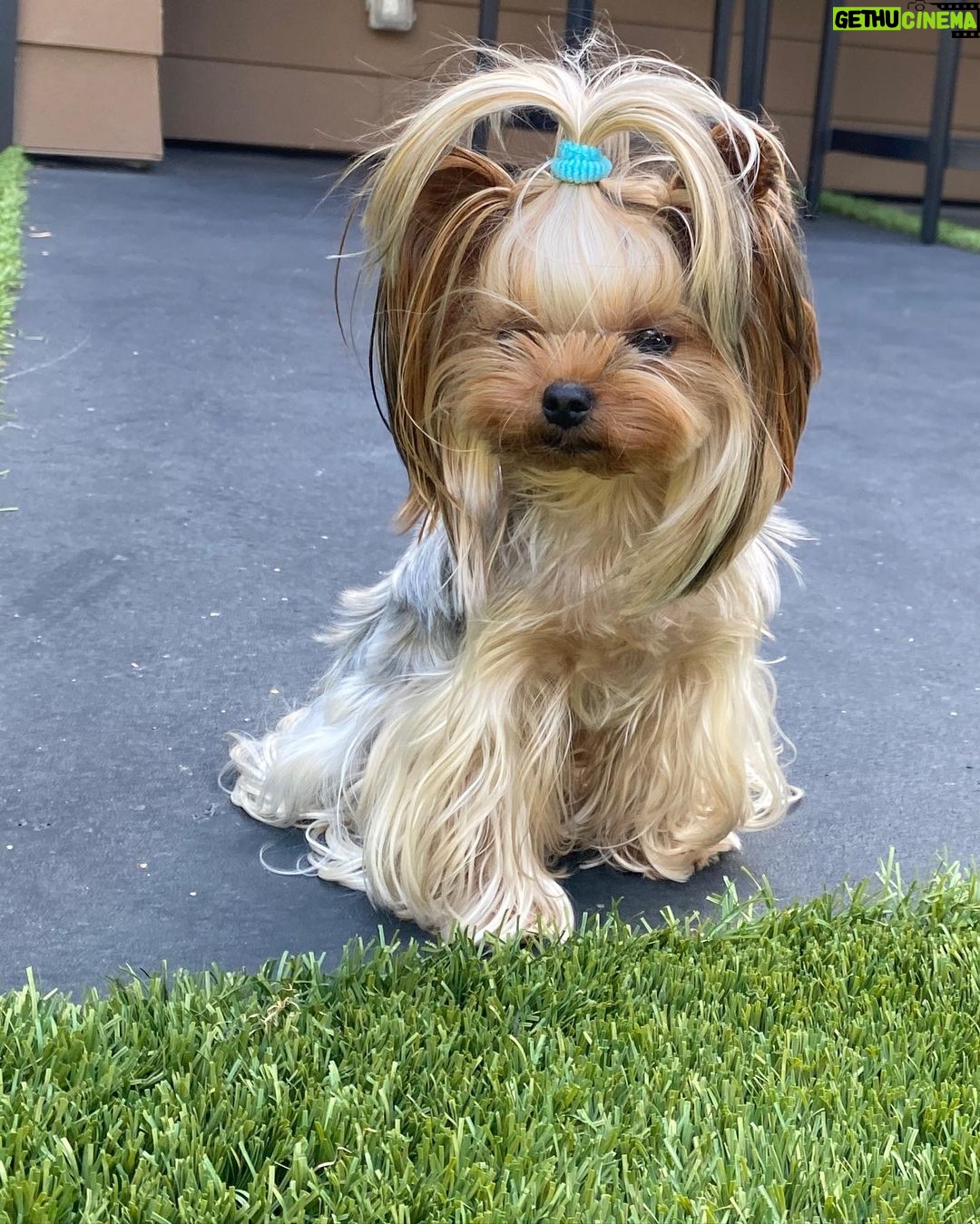 Hailee Steinfeld Instagram - HB TEENIE GIRL πΈπ«ΆπΌπ