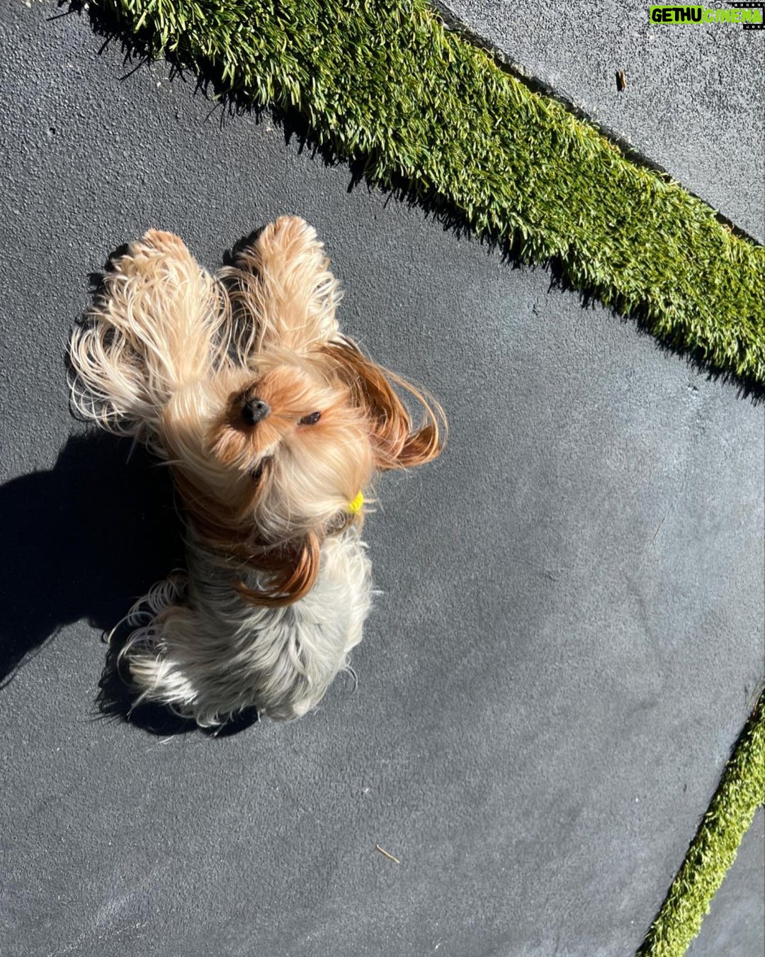 Hailee Steinfeld Instagram - HB TEENIE GIRL πΈπ«ΆπΌπ