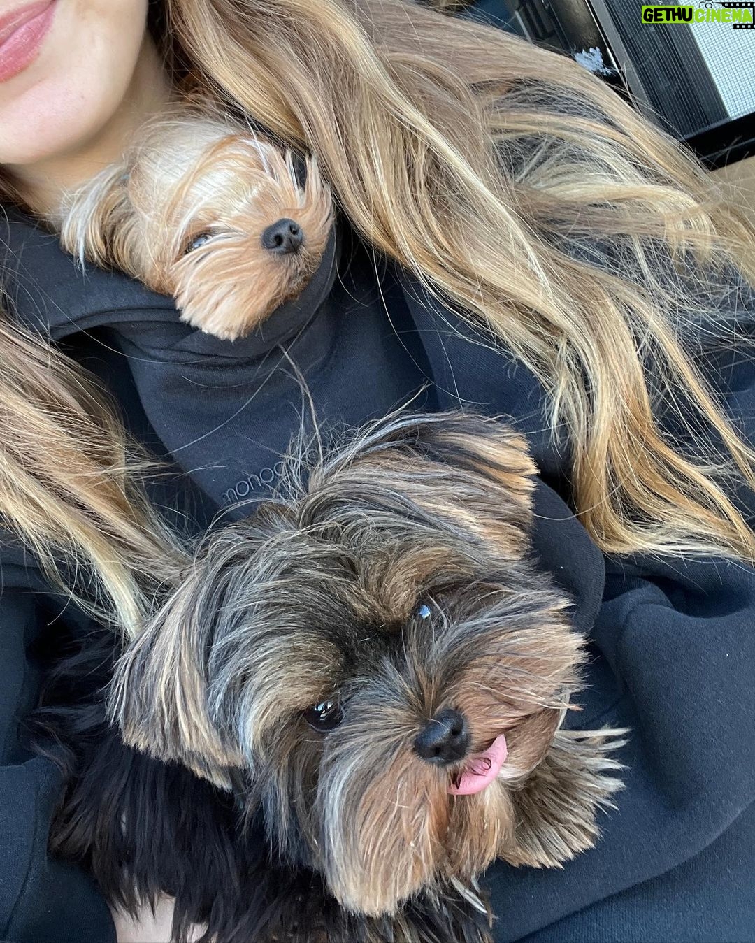 Hailee Steinfeld Instagram - HB TEENIE GIRL πΈπ«ΆπΌπ