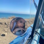 Hailee Steinfeld Instagram - If you’ve been with me for a while you know this has been a long time coming. If you’re new here… I’m about to release my first song in over a year (COAST • 7/29) with one of my favorite artists/someone I’m lucky to call a friend. He’s so sick!! And so is the song!! Bet!!!! COAST • 7/29 Ft….. Any guesses?
