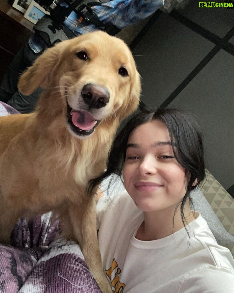 Hailee Steinfeld Instagram - some wholesome pizza dog & kate content to remind you that the third episode of @hawkeyeofficial is out now on @disneyplus 😉🍕🎄🥷🏼💜🏹