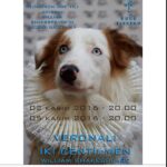 Hakan Çimenser Instagram - #veronalıikicentilmen #durutiyatro #crab